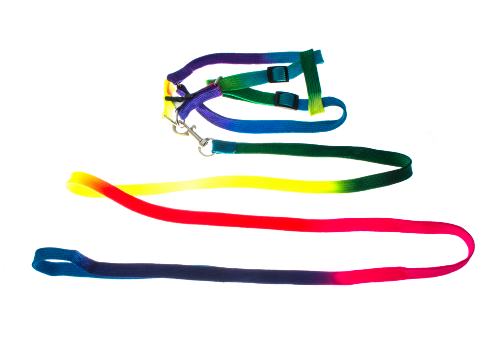 KX977349447.png Lesa + Ham multicolor pentru animale de companie mici - imagine 1