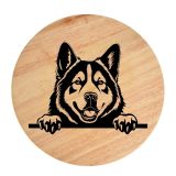 Tablou gravat pe lemn, caine rasa 'AKITA AMERICAN'