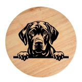 Tablou gravat pe lemn, caine rasa 'BLACK LABRADOR RETRIVER'