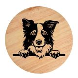 Tablou gravat pe lemn, caine rasa 'BORDER COLLIE'