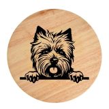 Tablou gravat pe lemn, caine rasa 'CAIRN TERRIER'