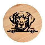 Tablou gravat pe lemn, caine rasa 'CHESAPEAKE BAY RETRIEVER'