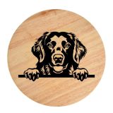 Tablou gravat pe lemn, caine rasa 'FLAT COATED RETRIEVER'