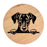 Tablou gravat pe lemn, caine rasa 'GERMAN PINSCHER'