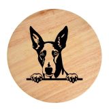 Tablou gravat pe lemn, caine rasa 'IBIZAN HOUND'