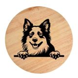 Tablou gravat pe lemn, caine rasa 'ICELAND SHEEPDOG'