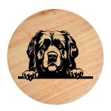 Tablou gravat pe lemn, caine rasa 'LEONBERGER'