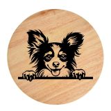 Tablou gravat pe lemn, caine rasa 'LONG HAIRED CHIHUAHUA'