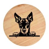 Tablou gravat pe lemn, caine rasa 'MANCHESTER TERRIER'