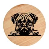 Tablou gravat pe lemn, caine rasa 'PUG'
