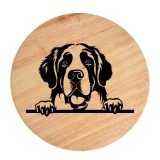 Tablou gravat pe lemn, caine rasa 'SAINT BERNARD'