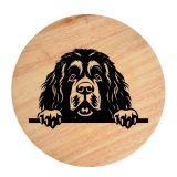 Tablou gravat pe lemn, caine rasa 'TIBETAN MASTIFF'