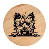 Tablou gravat pe lemn, caine rasa 'YORKSHIRE TERRIER'